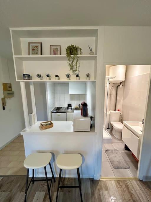 Appartement Le Douillet, Proche Gare Et Metro à Toulouse Extérieur photo
