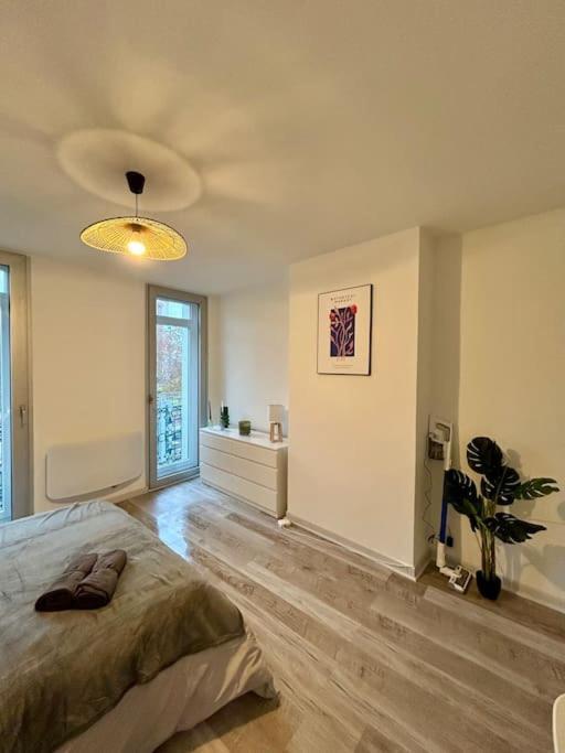 Appartement Le Douillet, Proche Gare Et Metro à Toulouse Extérieur photo